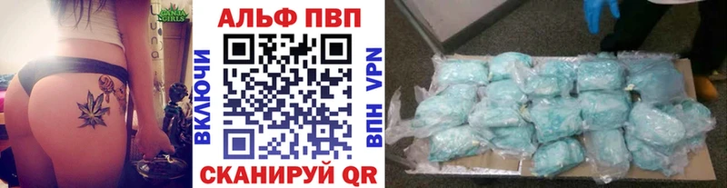 A PVP VHQ Бородино