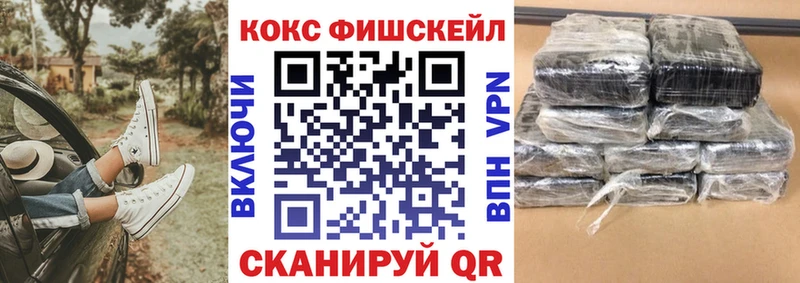 Cocaine FishScale купить Бородино