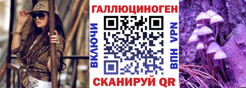 наркота Бородино Псилоцибиновые грибы MAGIC MUSHROOMS